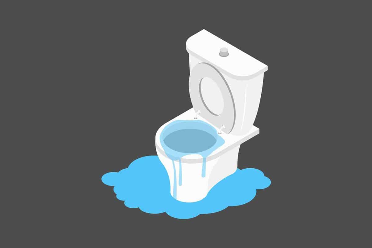 Eau qui remonte des toilettes : causes possibles et solutions